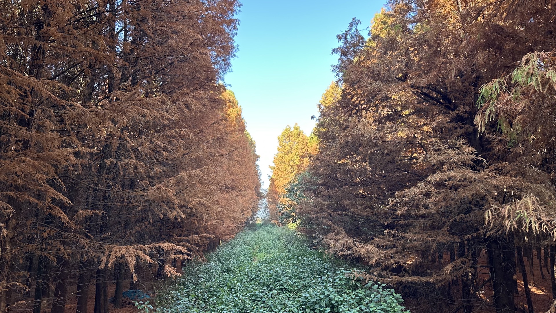 Cycling Yunnan: Erhai Lake and the Dianchi Greenway photo 5